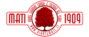 Gruppo MATI srl